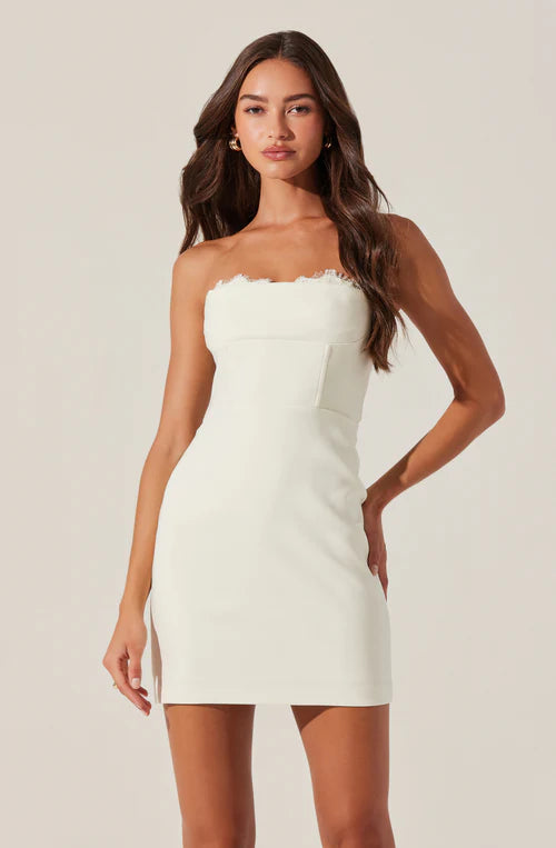 Melani Peekaboo Lace Mini Dress – Starr Boutique